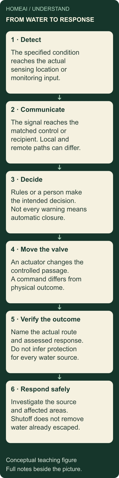 Follow detection through to a verified response. Original labelled conceptual figure; the complete explanation and every stage are also static text below.